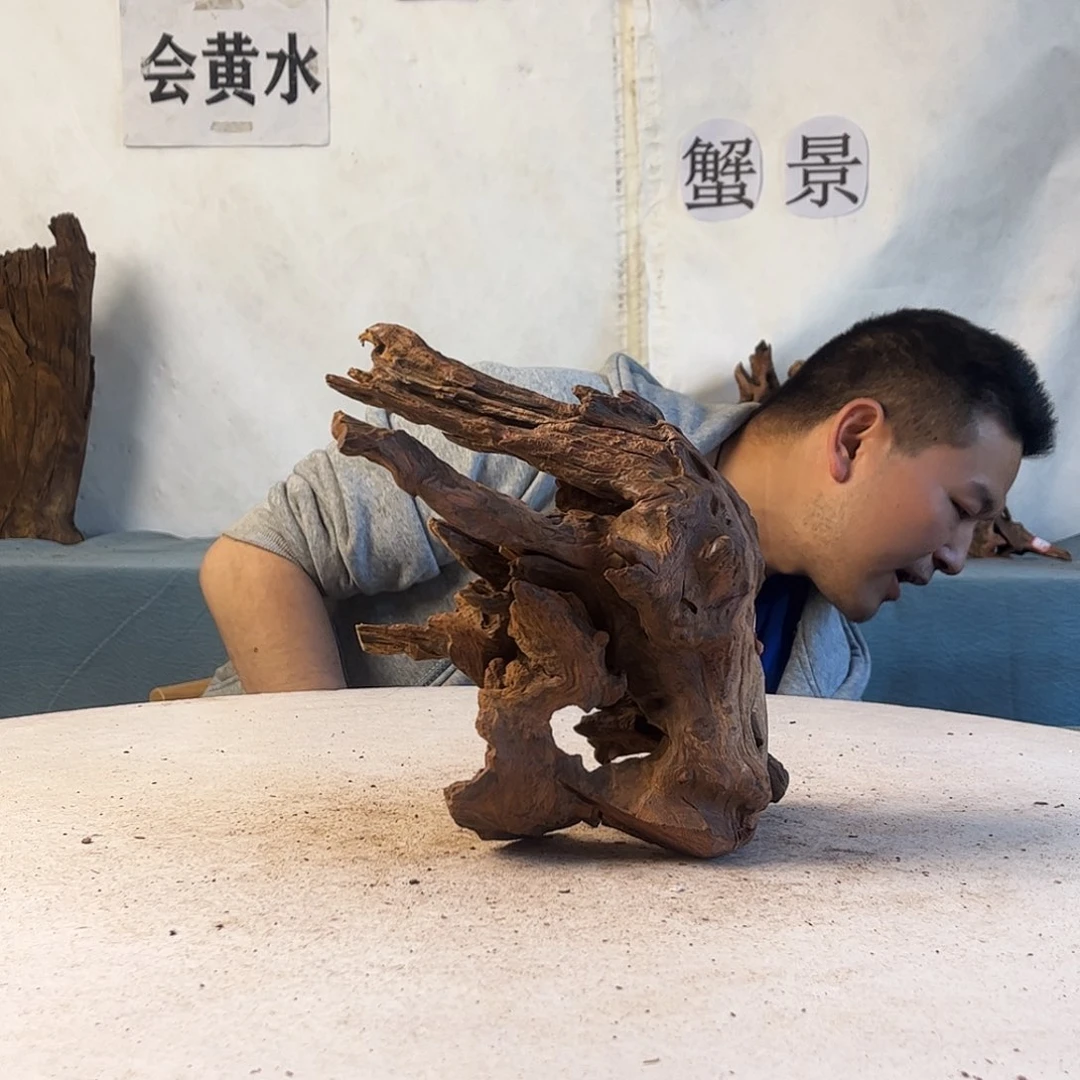 沉木造景爬宠造景