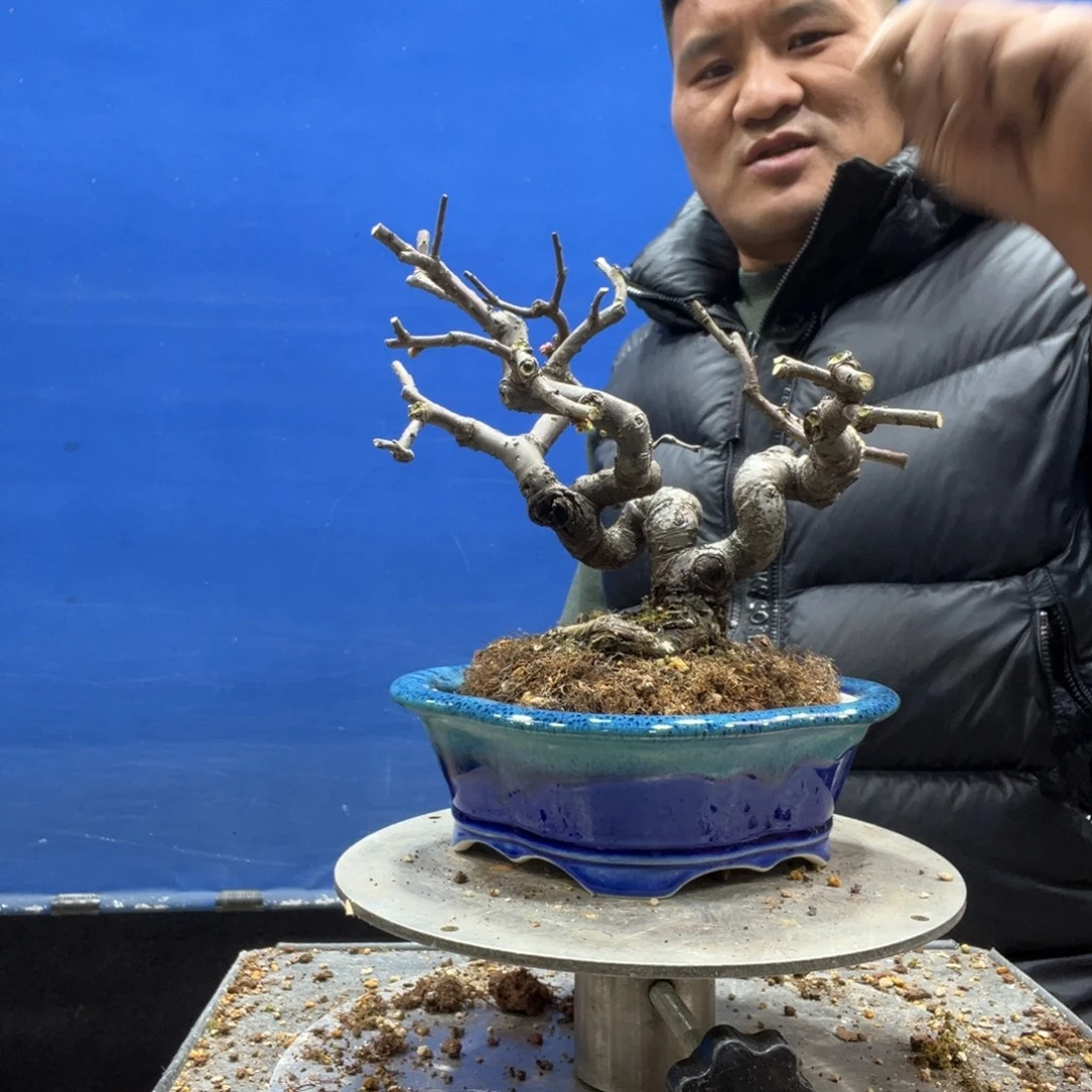 无花朵88888888888