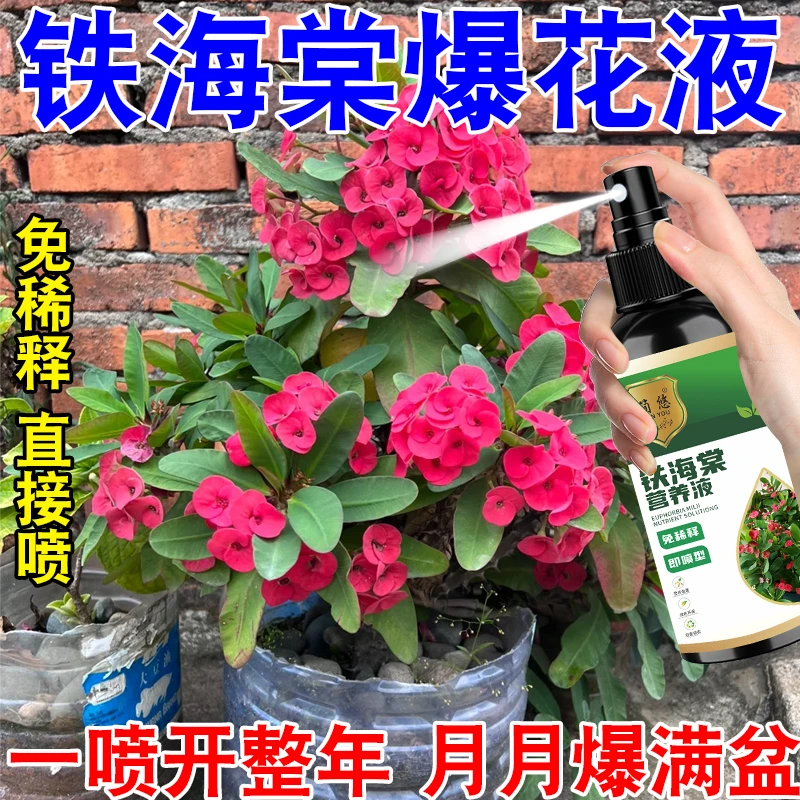 铁海棠专用肥料盆景植物营养液开花虎刺梅肥盆栽促分枝长叶子肥料