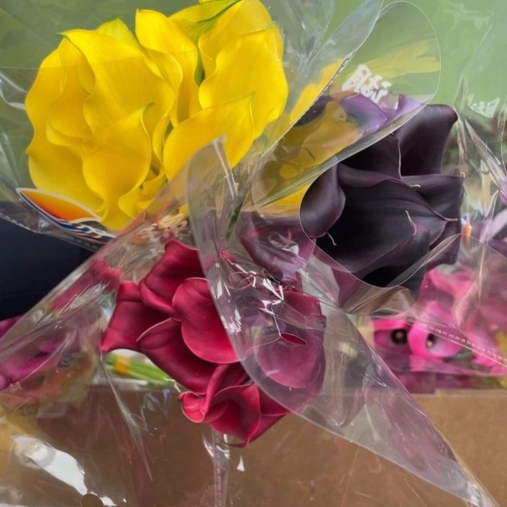 完全开放10号马蹄莲3把25支