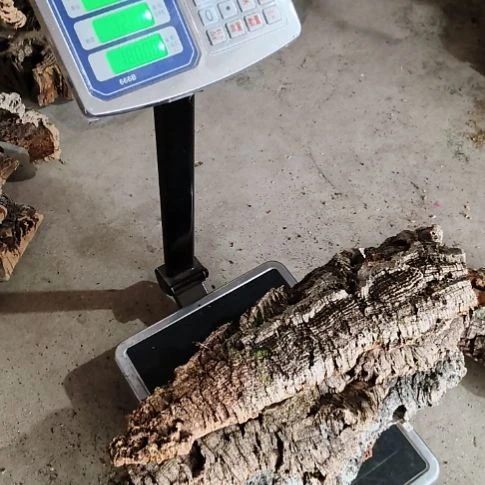 木一物一拍一物一发