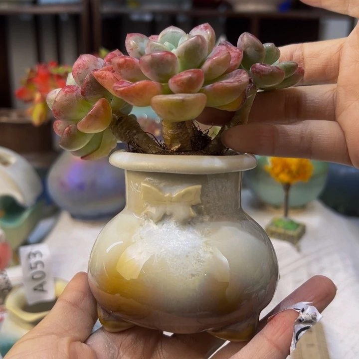 景德镇陶瓷研究所