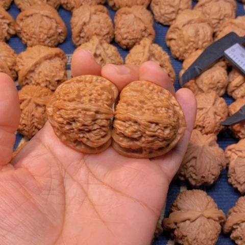 【闪购商品】吊坠文玩核桃杜**角白40