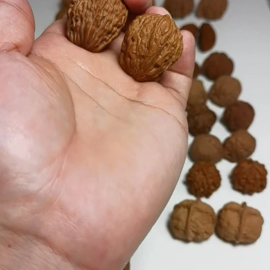 铭***尘手串/手链核桃核桃核桃核桃楼子
