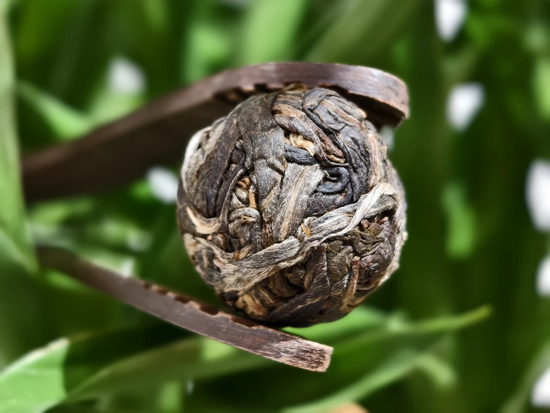 〈到手38颗〉2024春 黄草林 古树纯手工龙珠——到手38颗