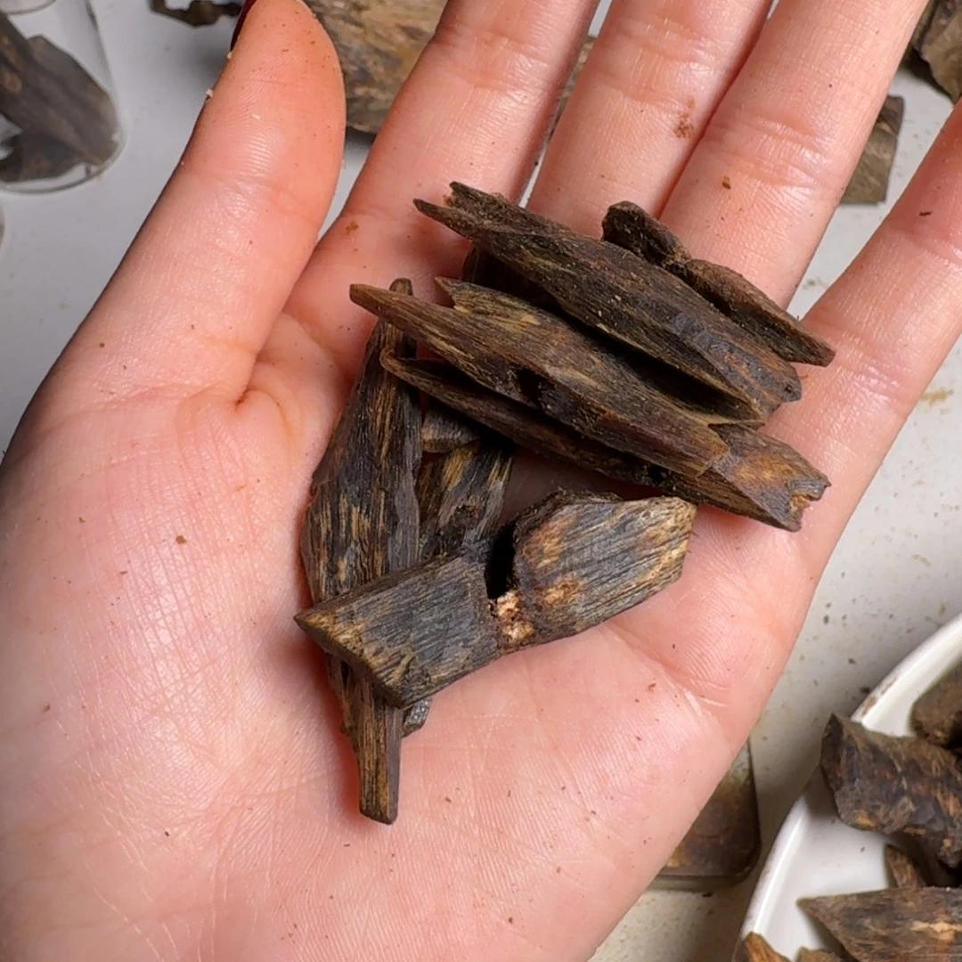 沉香沉香碎屑海南红骨漏油老料10