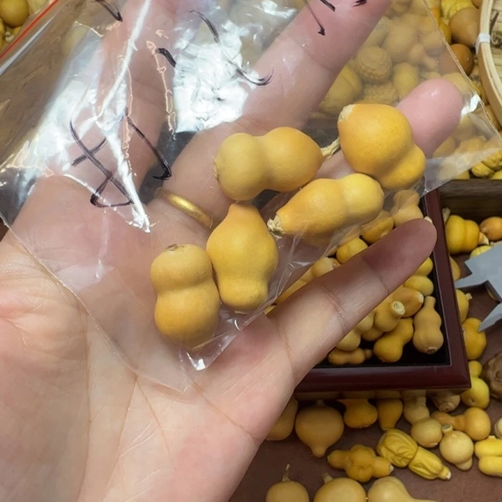 青***弟大叶紫檀（黑酸枝木类）