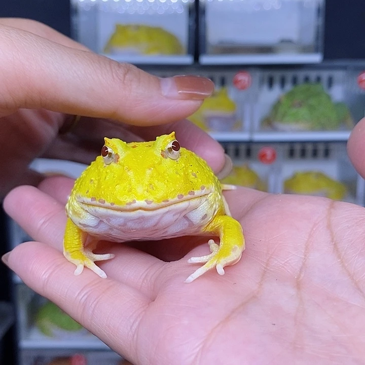 特价秒杀现货特价