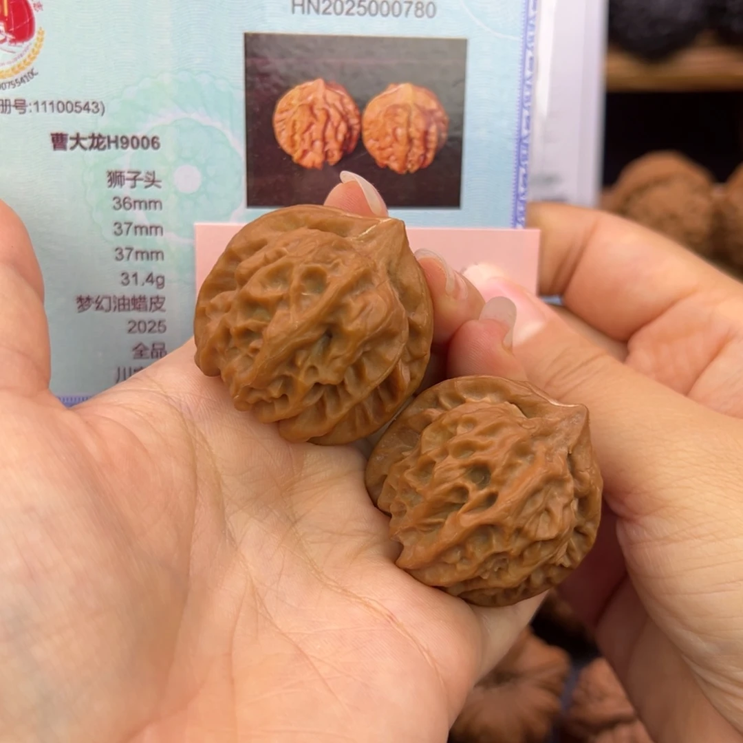 文玩核桃把件36全品曹大龙毕业对