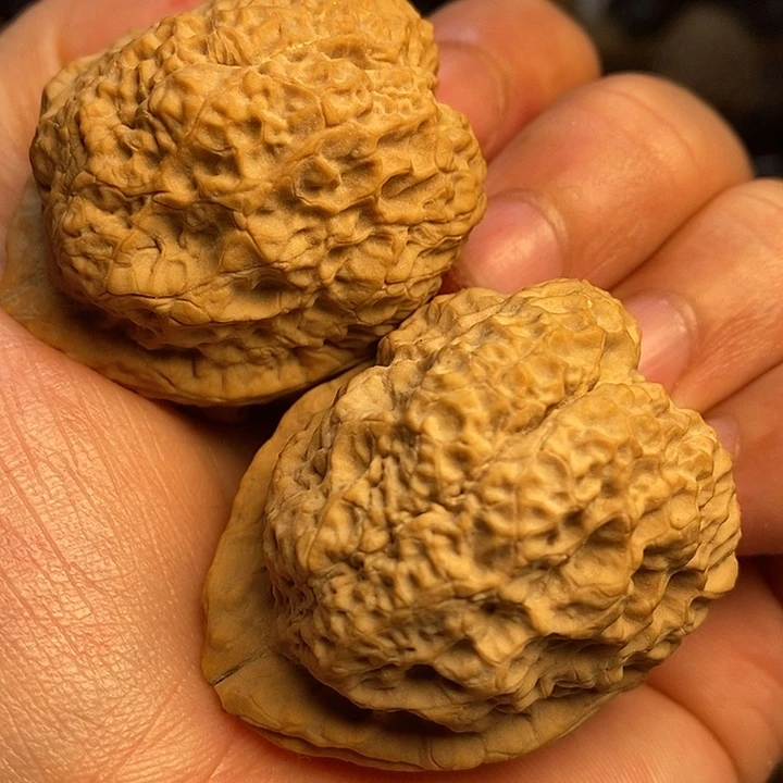 文玩核桃把件帝王蟾克重45