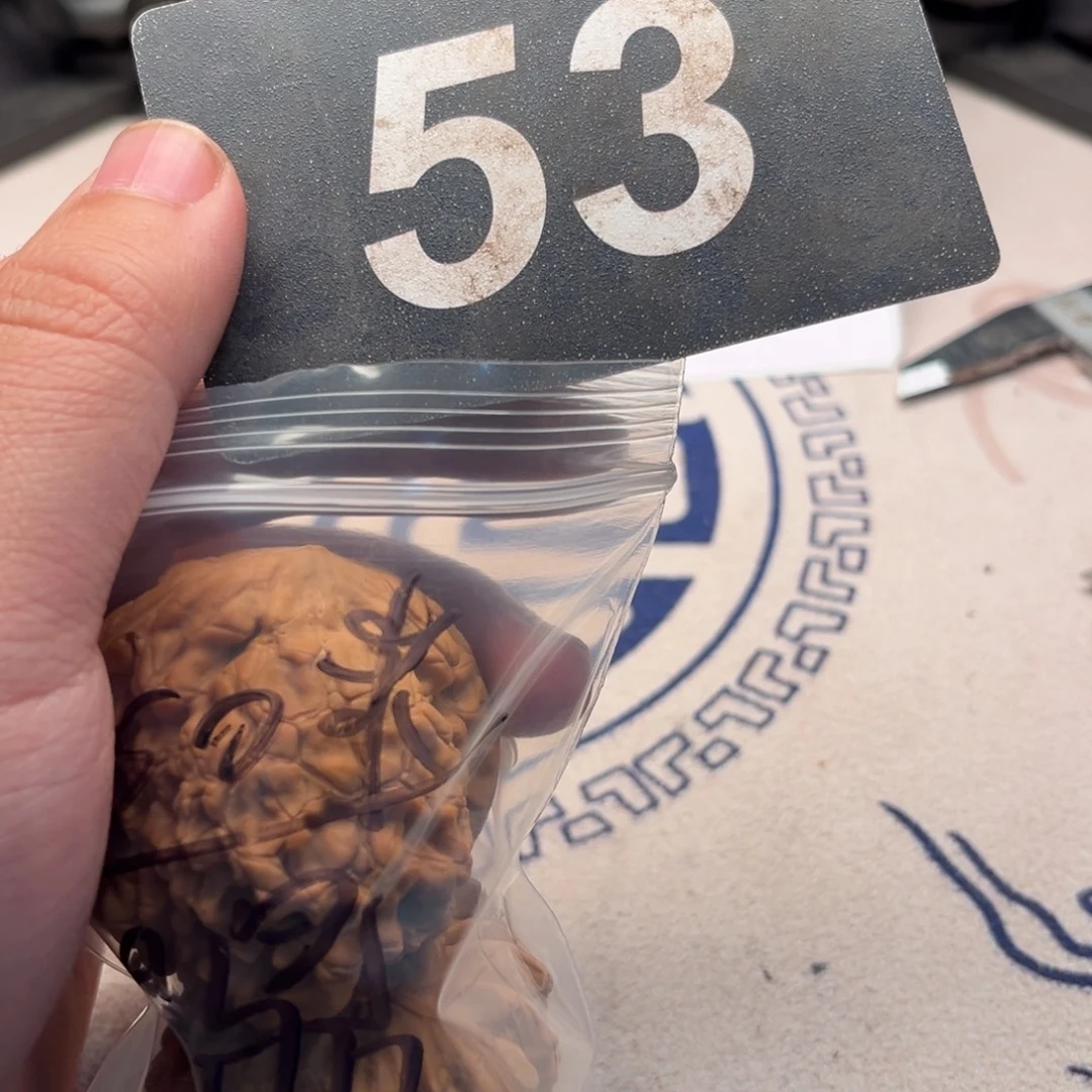 *****吊坠文玩核桃53号