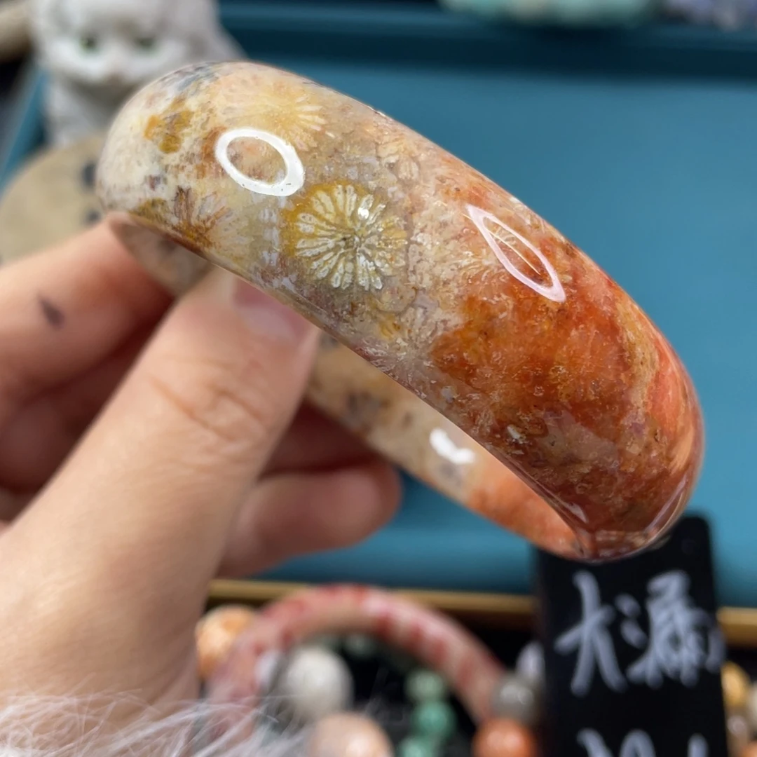 未镶嵌手镯硅化玉