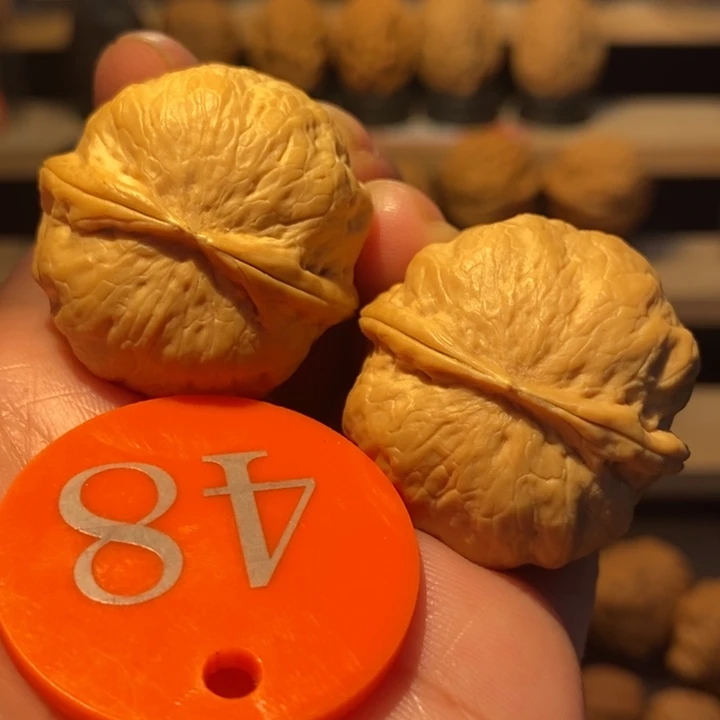 木质类冰宝宝34尺寸