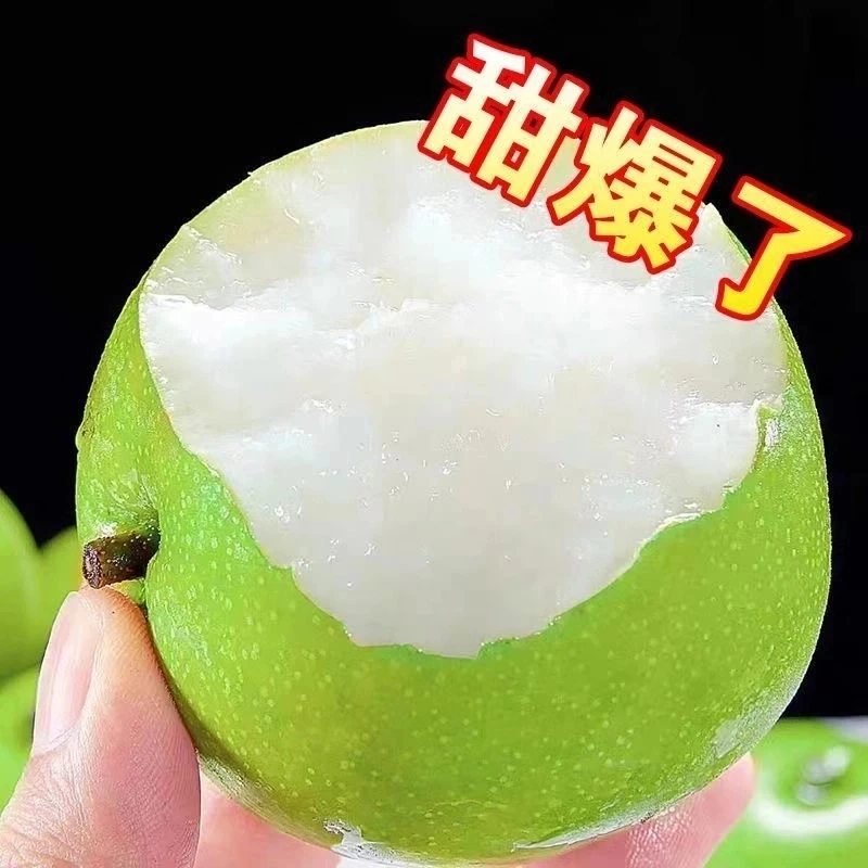 S砀山青皮梨蜜梨脆甜无渣汁水新鲜水果梨砀山脆甜梨脆甜多汁皮薄
