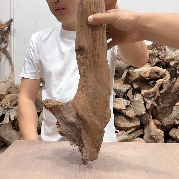 柏木连****资我们都是好孩子呀我也