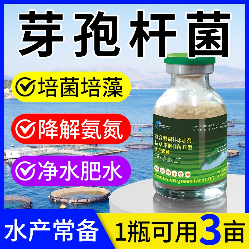 高浓缩芽孢杆菌净水优质稳定渔场水产养殖可用培育无毒混合型
