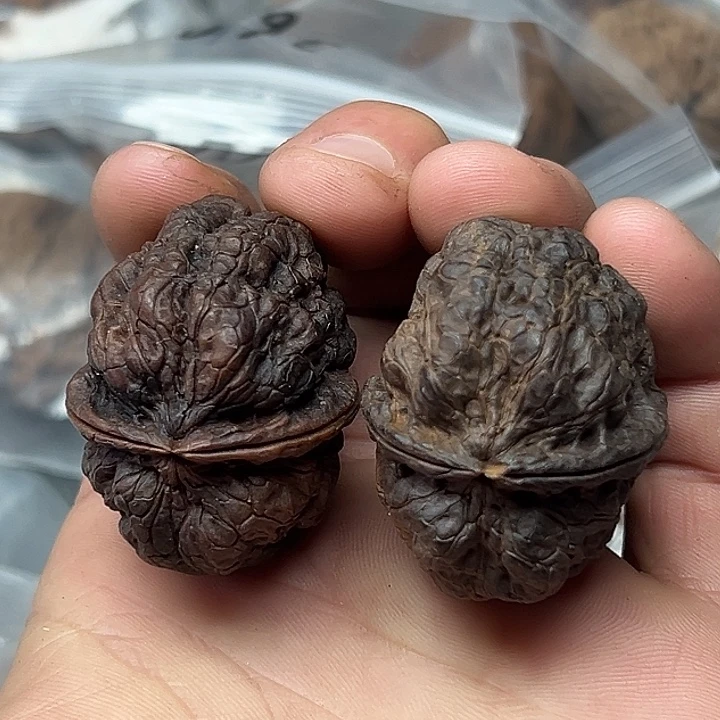 核桃95蟾王十八包41尺