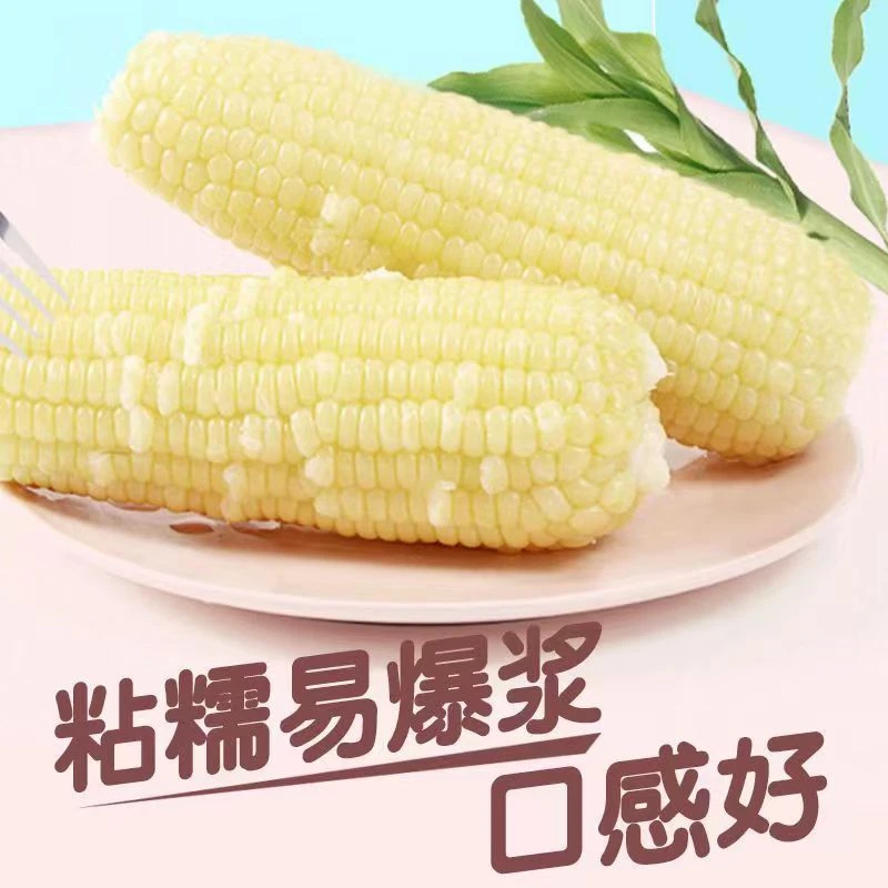 东北速冻鲜食糯玉米软糯香甜整箱8棒*250克吉林省