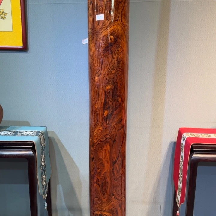 经***犬木888888888888888888