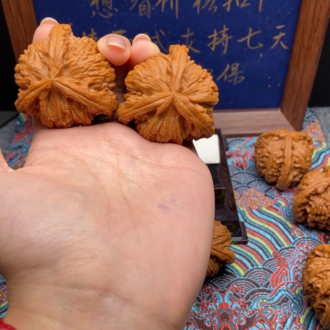 【闪购商品】长*白狮