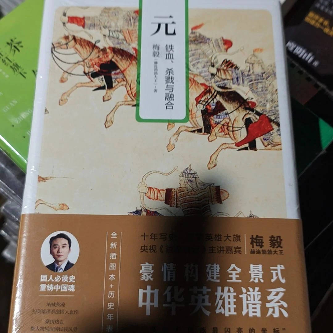 梅毅的元精装塑封全新