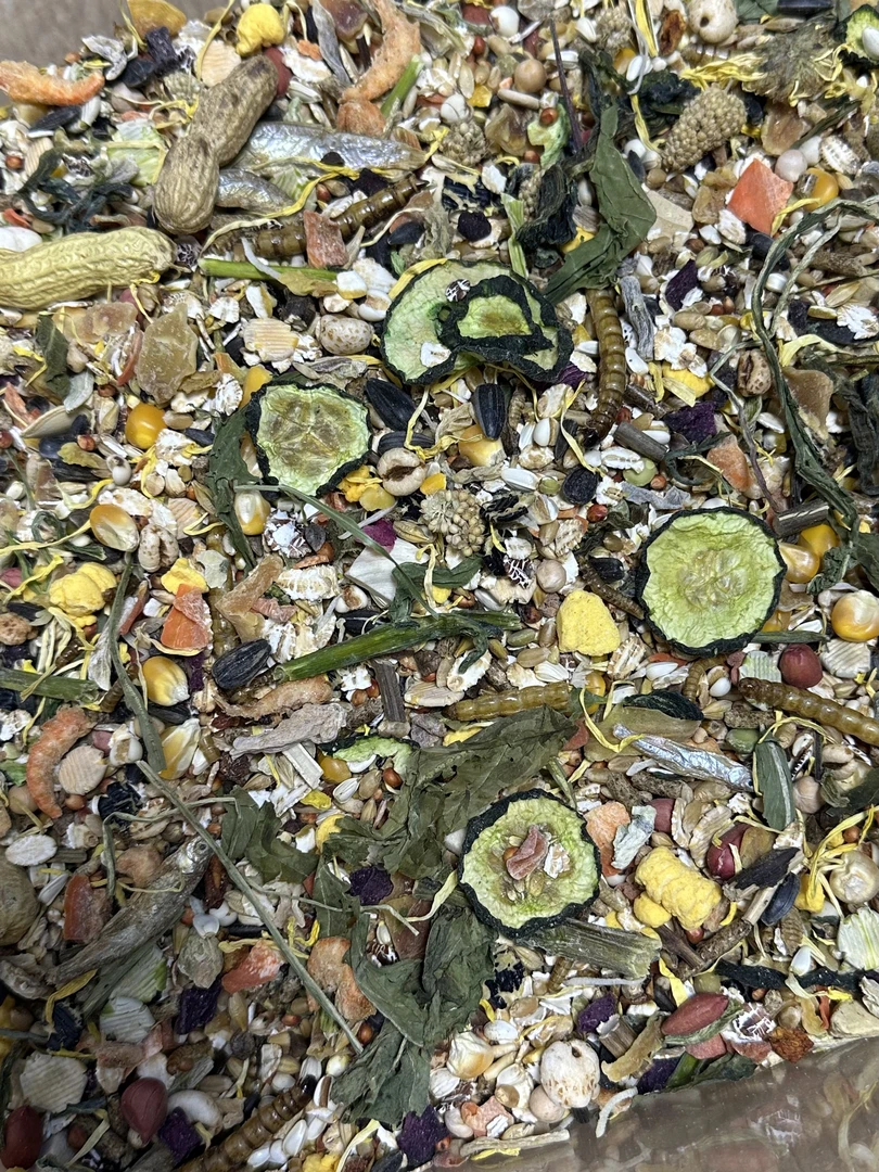 金丝熊波利自配粮小零食 一小袋