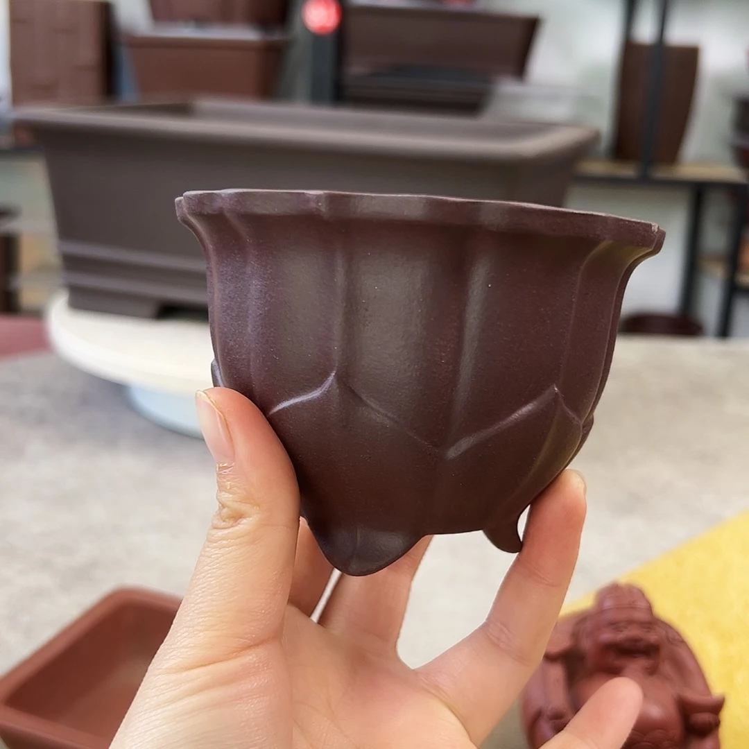 紫砂花盆无**虑福利价88888888888