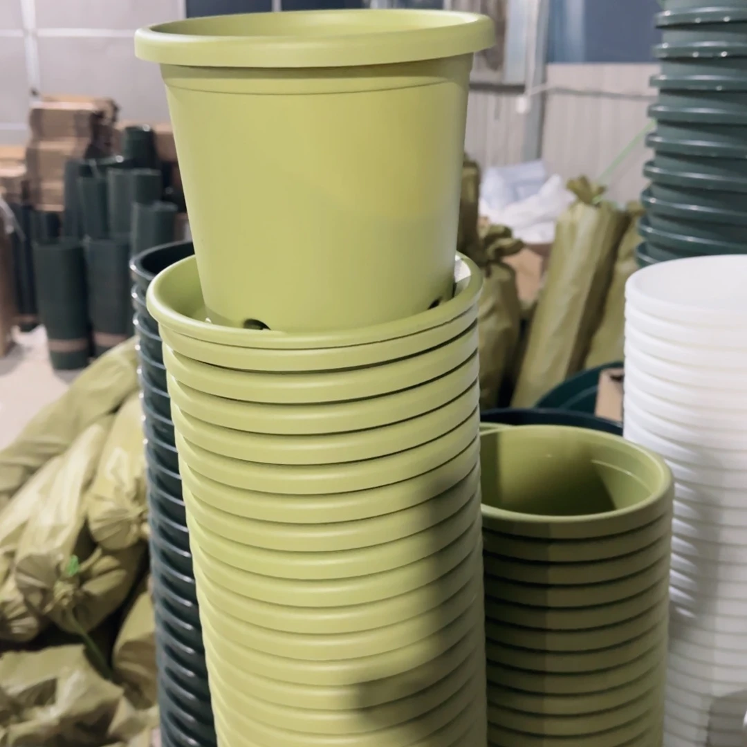 塑料四季2号果绿10带拖