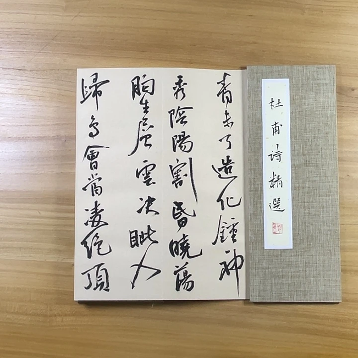 书法中书协老师作品