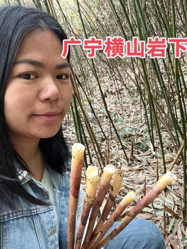 (京东包邮)广宁甜笋仔横山岩下甜笋仔清桂甜笋仔
