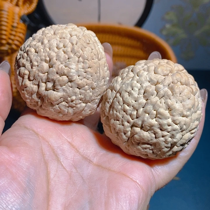 野生三瓣脑纹大金刚52正圆