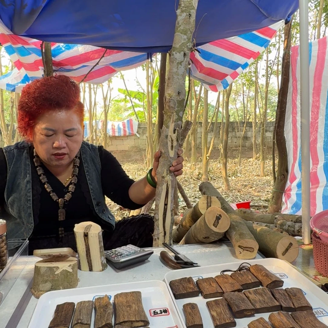 线香奇楠沉香原木