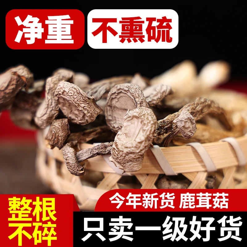 高山正品鹿茸菇干货净重100g无硫鹿茸菌野生脆脆菇干煲汤火锅菌菇
