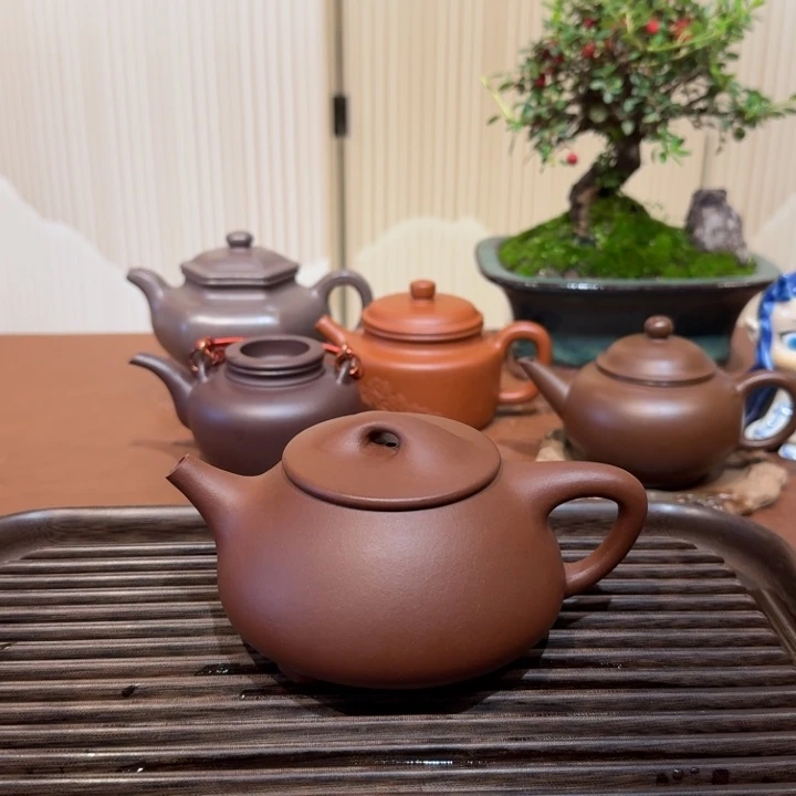 茶壶紫砂景舟石瓢老紫泥仅一把