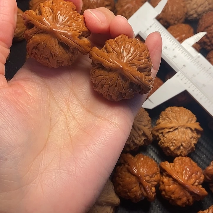 木质类40狮虎兽。