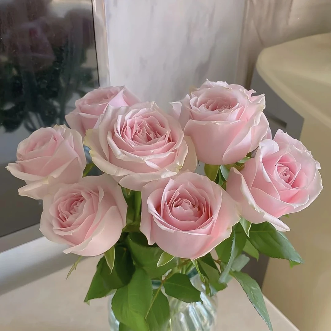 鲜花【粉雪山】家庭同地址两单升级冷链送货上门