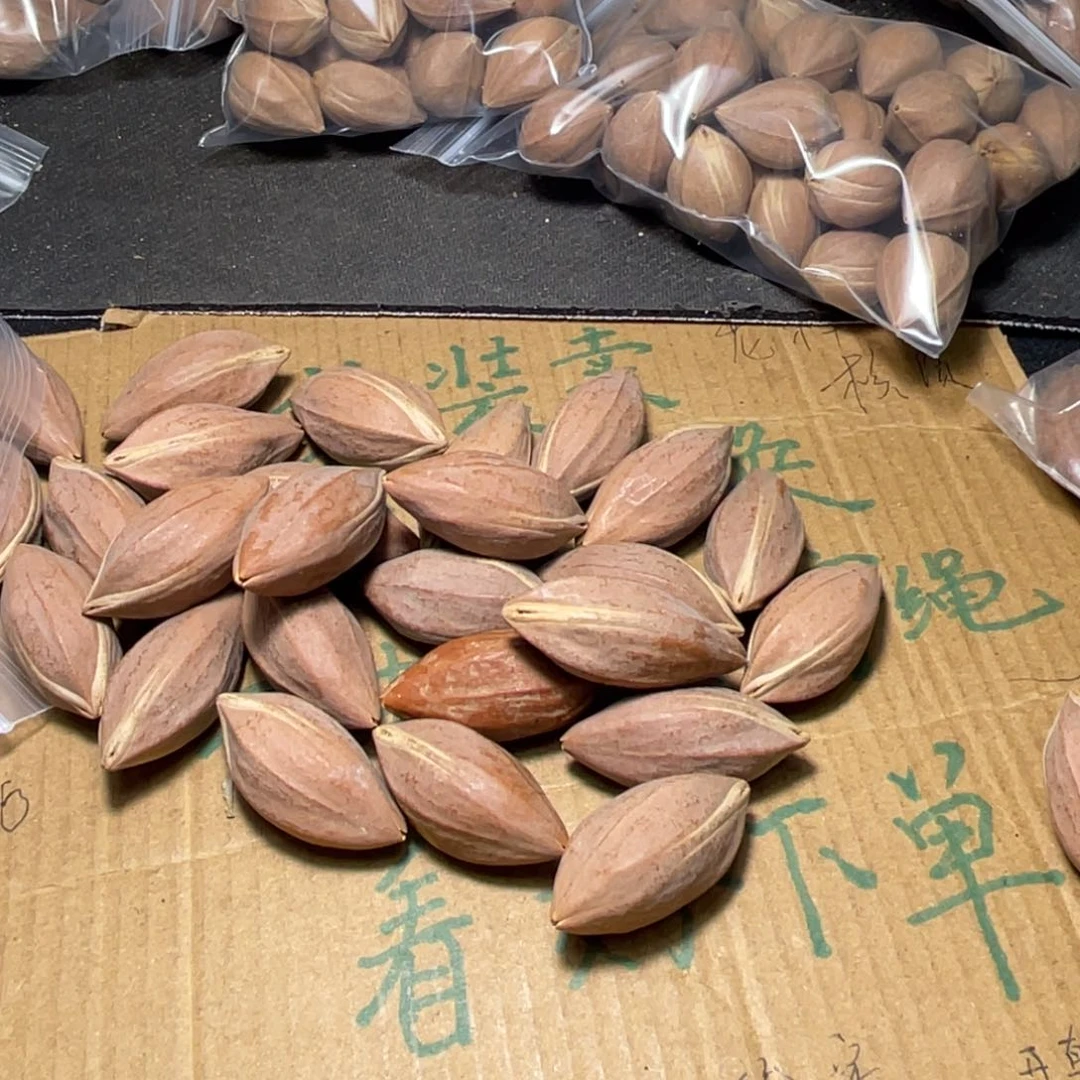 用****6不退不换sasdssdd