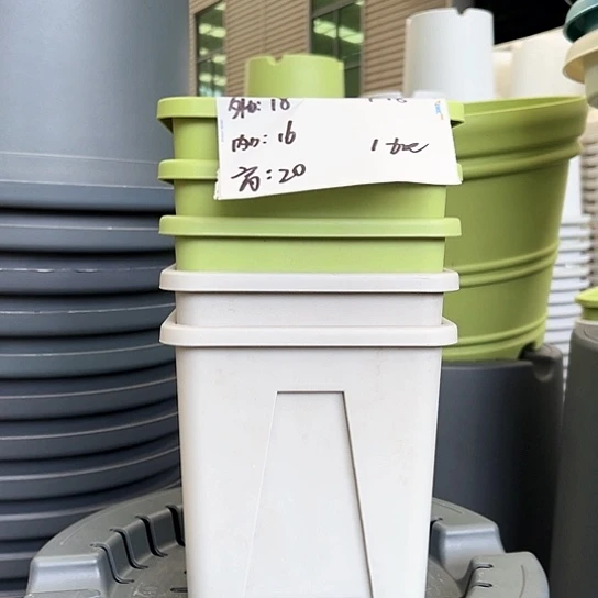 F18#果绿色5个无托