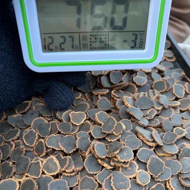长白山九蒸九晒金边黑参片