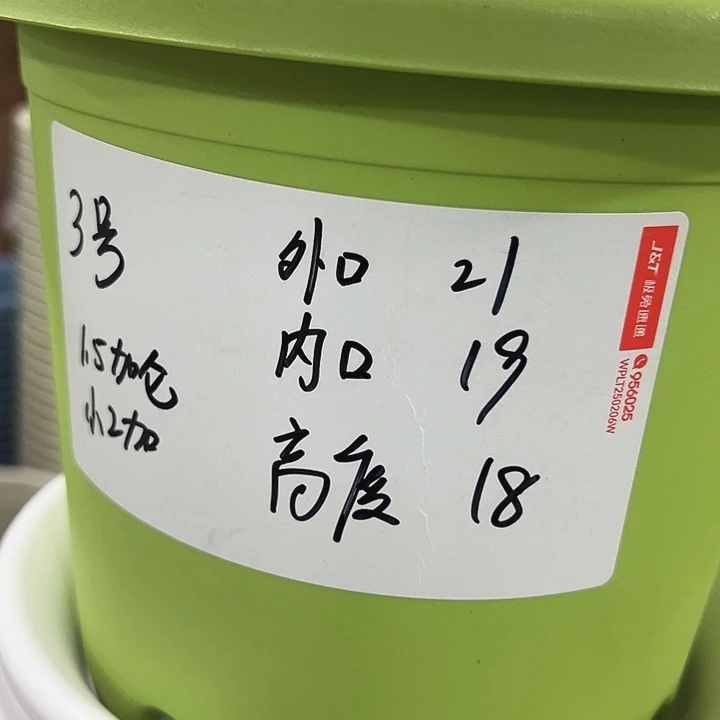 特价3号四季口21高18果绿带托10只