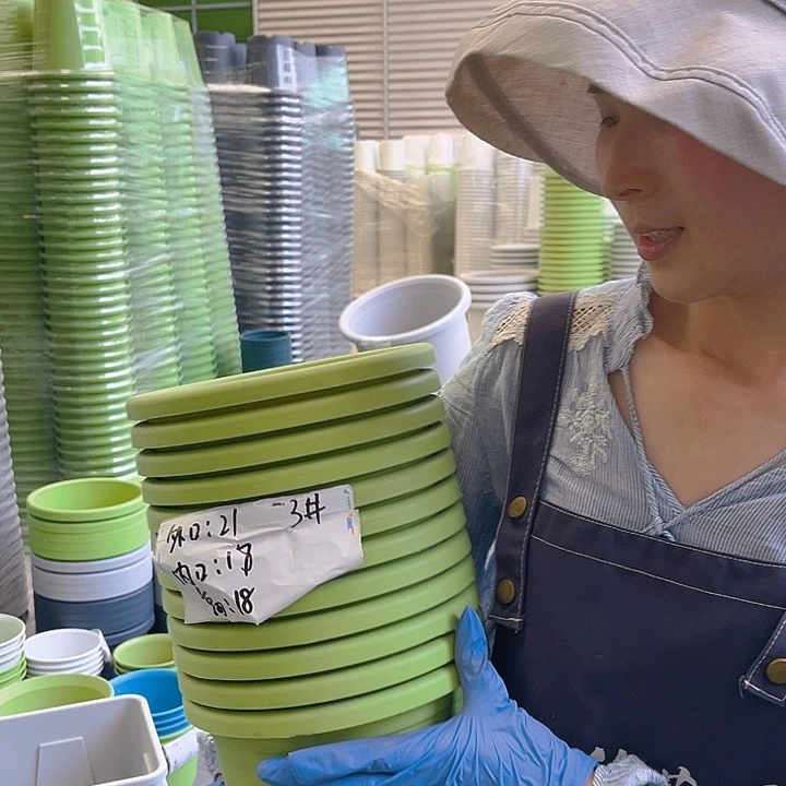 四季盆3#果绿色10个无托