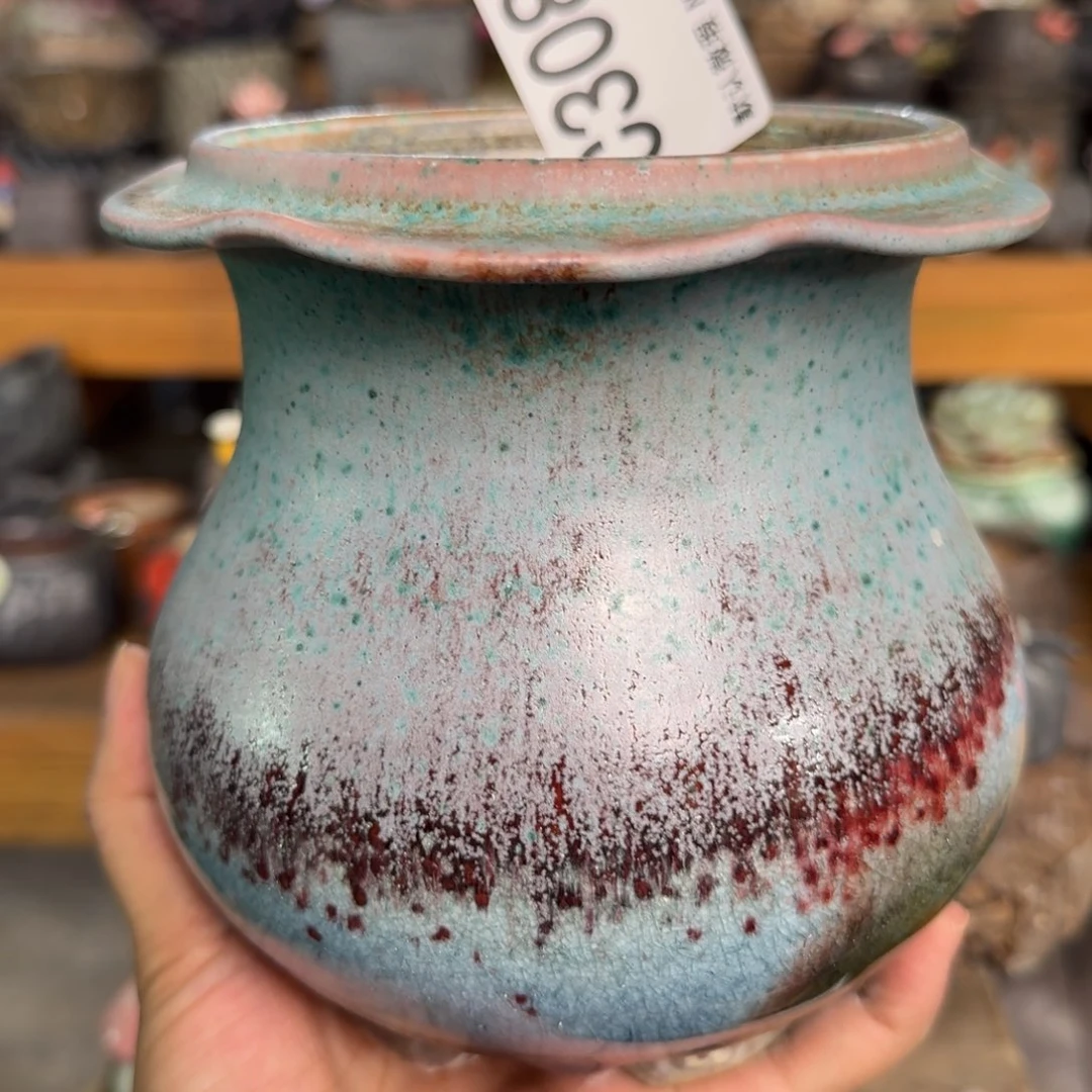 重庆小燕子欢迎大家308