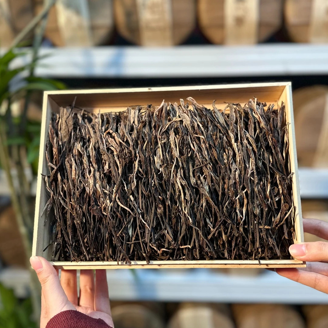 2020年【千羽孔雀】老班章核心基地 360年古树料 五年陈 茶气刚烈