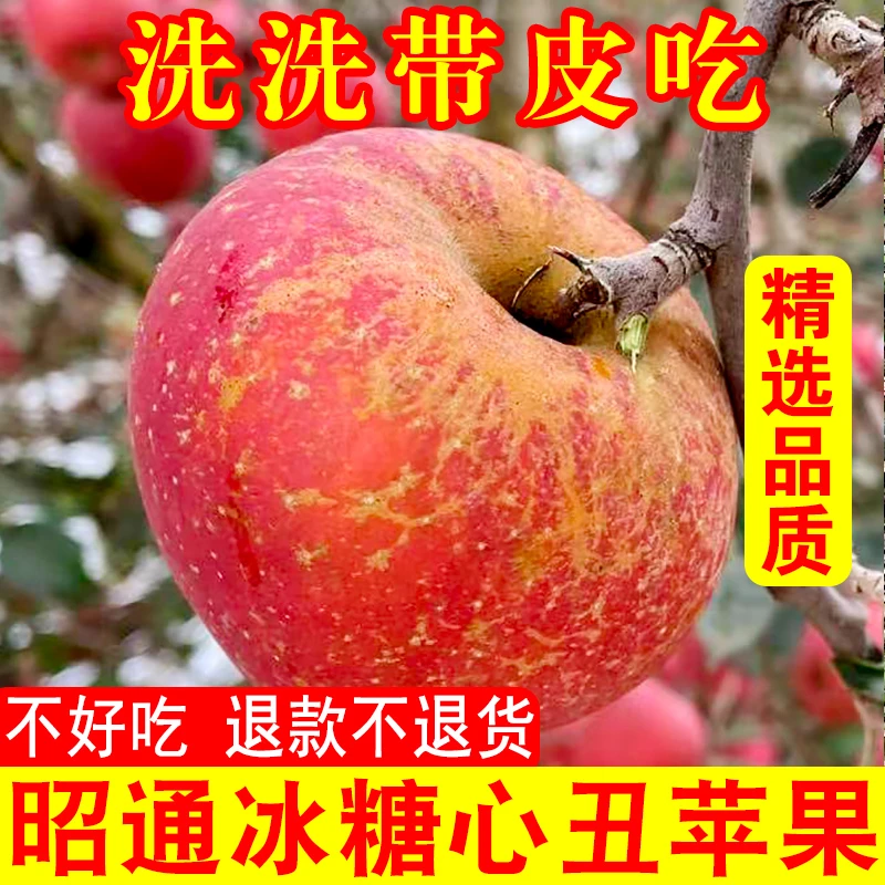2024正宗云南昭通丑苹果冰糖心苹果新鲜水果当季现摘脆甜5/8斤