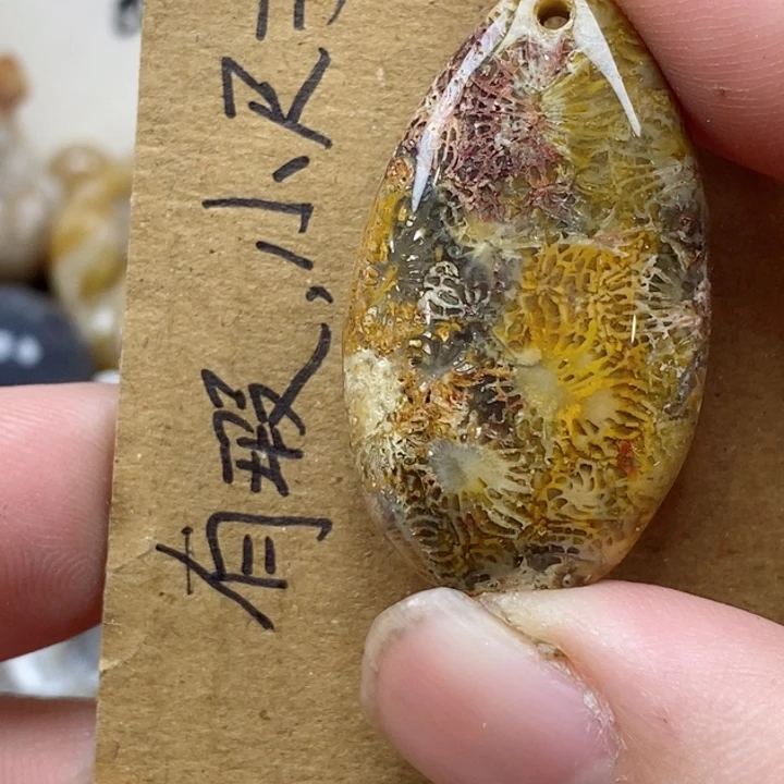 颈饰未镶嵌硅化珊瑚（珊瑚玉）