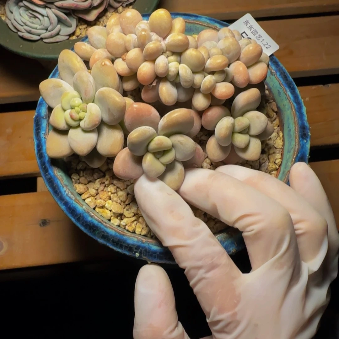 f f f f f f f f f f f 25