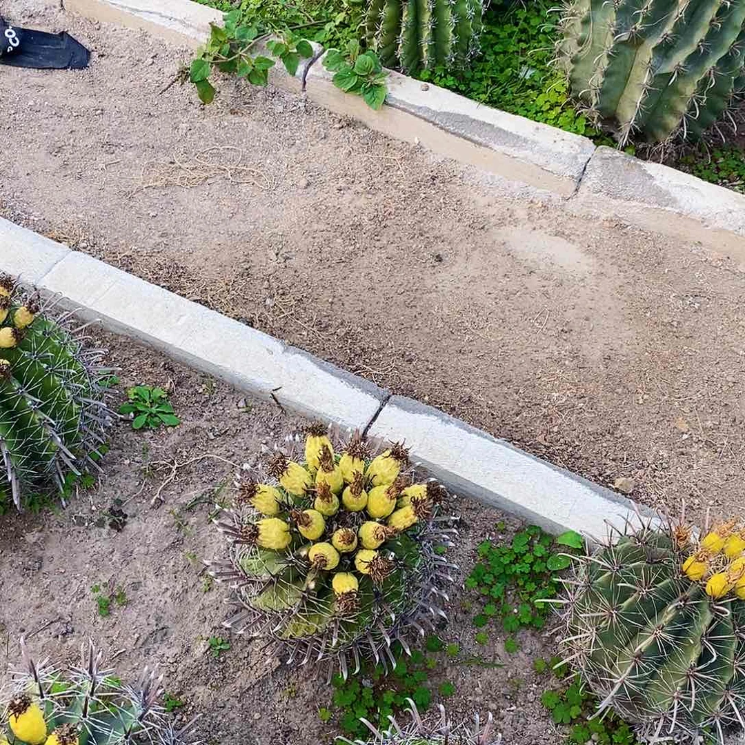 ?**?0000000000000000