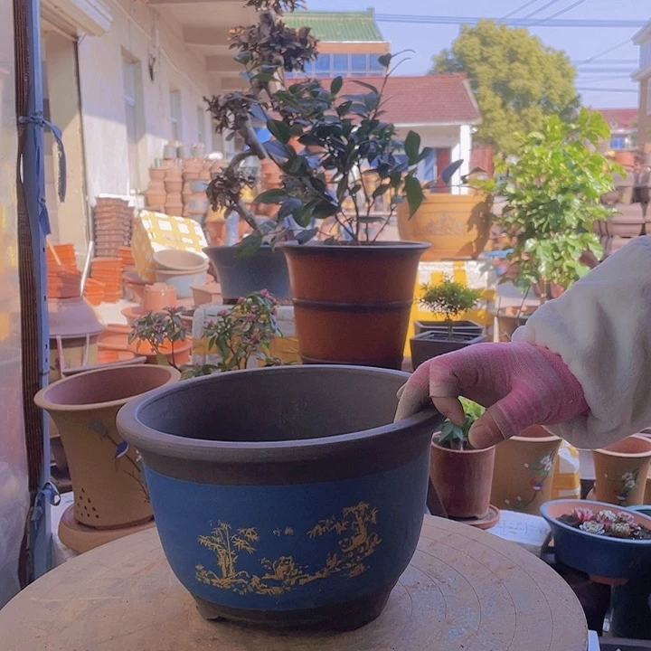 紫砂宜兴紫砂蓝熊猫小