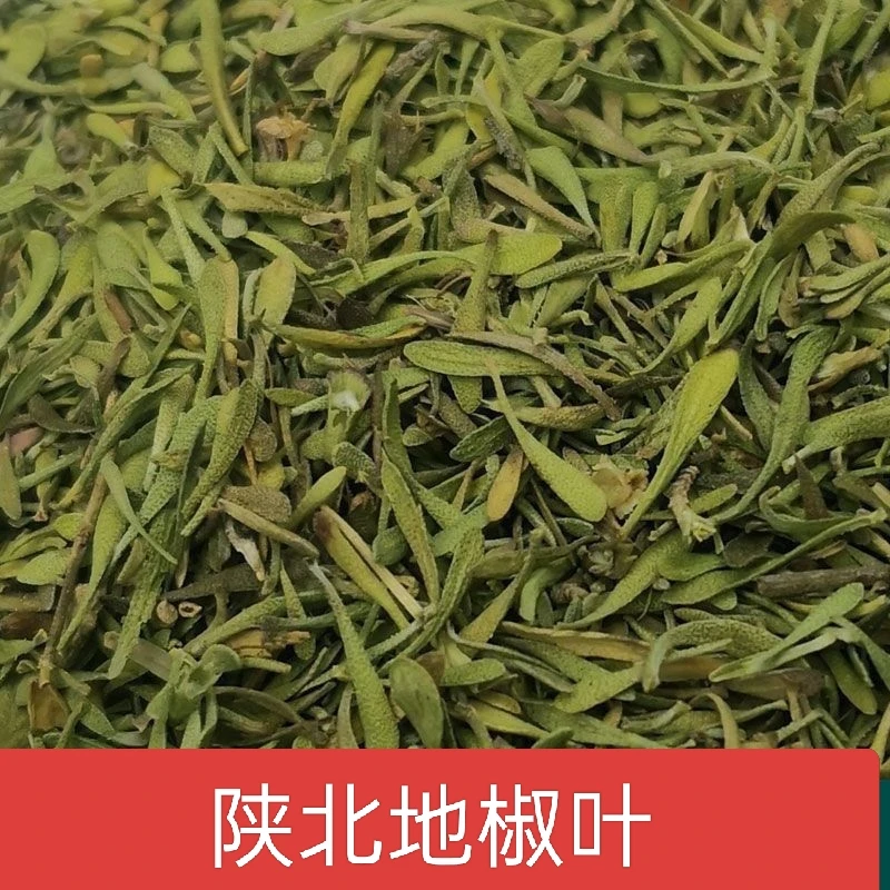 陕北地椒叶百里香炖羊肉去腥提香