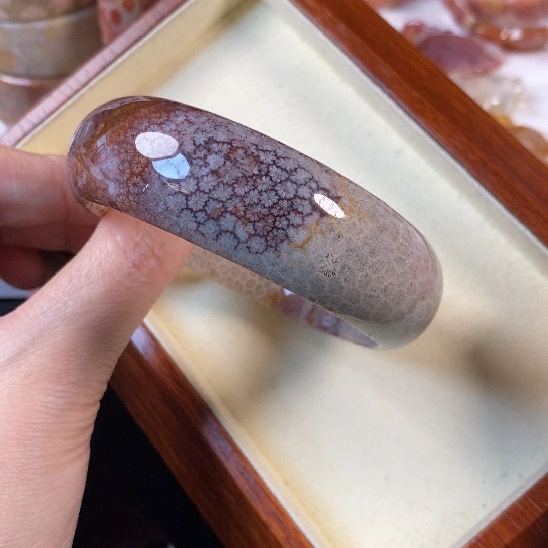 硅化珊瑚（珊瑚玉）未镶嵌手镯61.3口福利300